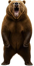 Bear Cardboard Cutout,3FT Life Size, Safari Theme, Alaskan Animals by 111PRINT