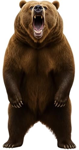 Bear Cardboard Cutout,3FT Life Size, Safari Theme, Alaskan Animals by 111PRINT