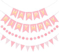 Pink Happy Birthday Banner Hanging Sign Circle Dot Triangle Bunting by Unknown