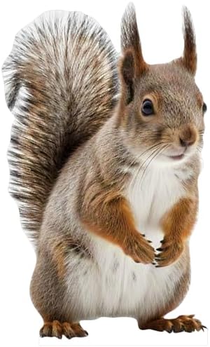 Squirrel 5FT Life Size Cardboard Cutout, Standup, 1 PC by DP+BOUTIQUE