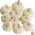 Artgar Pumpkin Decor - White Pumpkin - 10 PCS Mini Pumpkins Harvest Set by ArtgarArtificialPlantDecorations