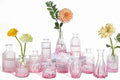 UPBUD Pink Glass Bud Vases Set of 12, Mini Flower Vase for Centerpieces by UPBUD