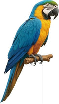 Parrot Life Size Cardboard Cutout, 4FT, 1 PC, Party Decor by Unknown