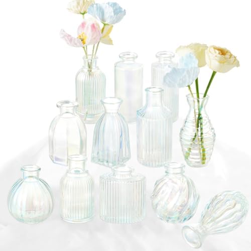 Bud Vases Set of 12, Iridescent Glass Vase for Decor Centerpieces by PHUNTTEK
