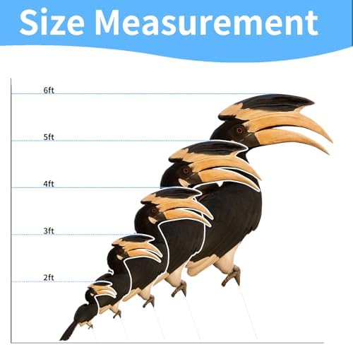Hornbill 1FT Life Size Cardboard Cutout, 1 PC - Image 2