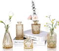 UPBUD Amber Gold Glass Bud Vases Set of 5, Small Vases for Flowers by UPBUD