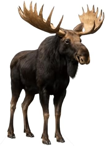 Moose 5FT Life Size Cardboard Cutout, Safari Theme Decoration, 1PC by 111PRINT
