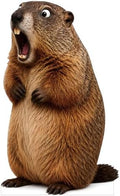 Funny Groundhog Life Size Cardboard Cutout Standee, 6FT by 111PRINT