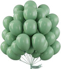 PartyWoo Sage Green Balloons 50pcs Olive Eucalyptus Dusty Green Boho Color by PartyWoo