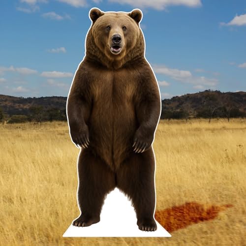 Bear 1FT Life Size Cardboard Cutout, Safari, Alaskan Animals - Image 4