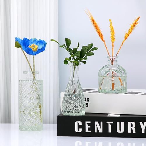Clear Flower Vase Set, Glass Bud Vase in Bulk Set of 8 - Image 4