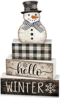 Moucuny 4 Pcs Winter Snowman Tiered Tray Decor Wooden Block Signs by Moucuny