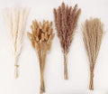 Dried Pampas Grass Decor, 100 Stems Pampas Grass Contains Bunny Tails Dried Flowers, Reed Grass Bouquet for Wedding Boho Flowers Home Table Decor, Rustic Farmhouse Party (17", White and Brown) by ANPROOR