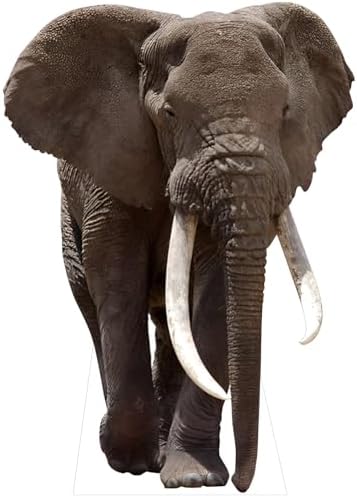 Elephant 4FT Life Size Cardboard Cutout, 1 PC by DP+BOUTIQUE