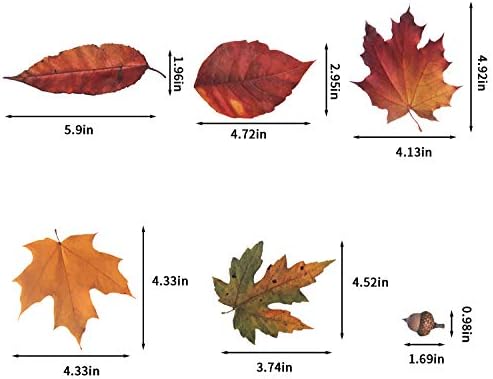 CCINEE 216pcs Maple Window Clings 6 Sheets Fall Leaves Assorted Maple Oak Leaves Acorns Window Stickers for Autumn Thanksgiving Halloween Seasonal Holiday Glass Window Decorations - Image 3