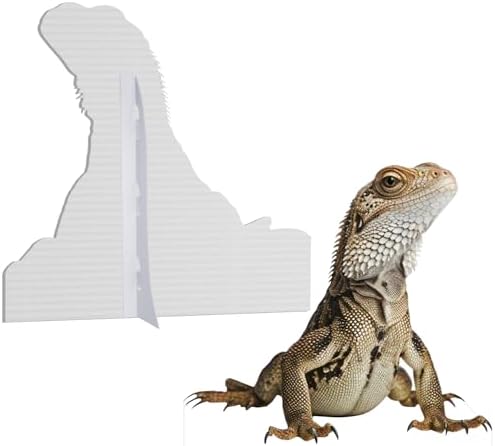 Lizard 2FT Life Size Cardboard Cutout, 1 PC - Image 3
