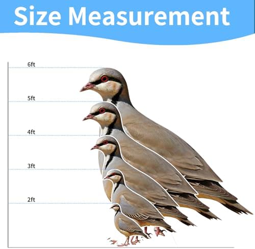 Partridge 6FT Life Size Cardboard Cutout, 1 PC - Image 2