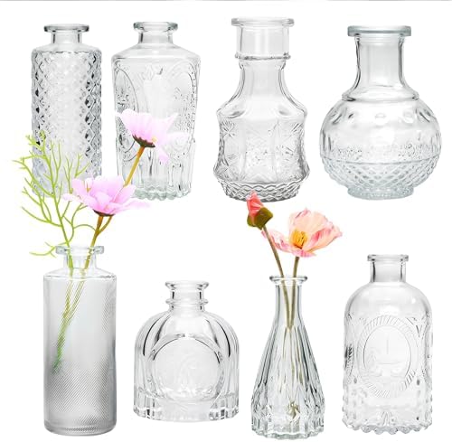 Clear Flower Vase Set, Glass Bud Vase in Bulk Set of 8 by Brajttt