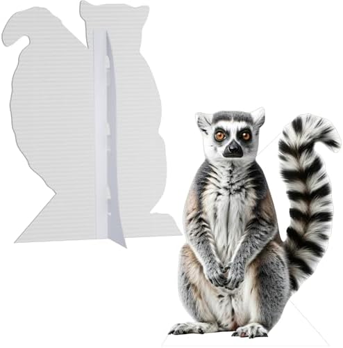 Ring-Tailed Life Size Cardboard Cutout, 3FT, 1 PC, for Events - Image 3