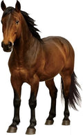 Horse 2ft Life Size Cardboard Cutout for Party Decor, 1 PC by Unknown
