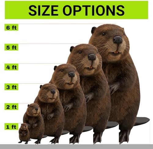 Beaver Cardboard Cutout 6FT Life Size, Alaskan Animals, 1 PC - Image 2