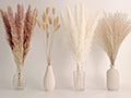 65PCS Pampas Grass Decor, Including pompas Floral, Reed Dried Grass and Bunny Tails Dried Flowers, Natural Dried Pampas Grass Bouquet for Boho Decor Wedding, Home Decoration by ANPROOR