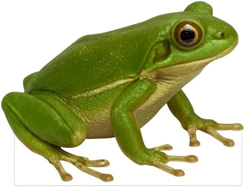 Frog 2FT Life Size Cardboard Cutout, 1 PC by DP+BOUTIQUE