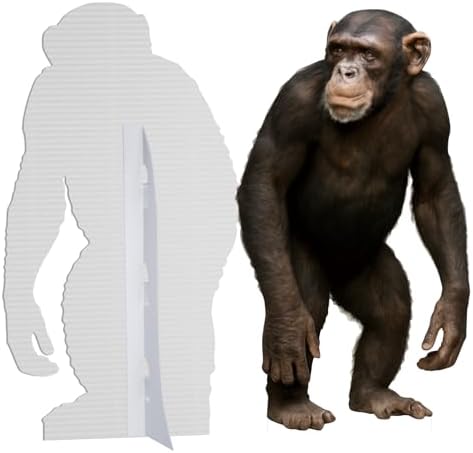 Orangutan 4FT Life Size Cardboard Cutout, 1 PC - Image 3