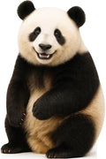 Panda 4FT Life Size Cardboard Cutout, 1 PC by DP+BOUTIQUE
