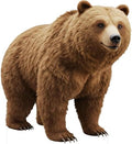 Brown Bear2 1FT Life Size Cardboard Cutout, for Party Decor by Unknown