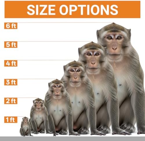 Monkey 2FT Life Size Cardboard Cutout, Fun Animal Standup, 1 PC - Image 3