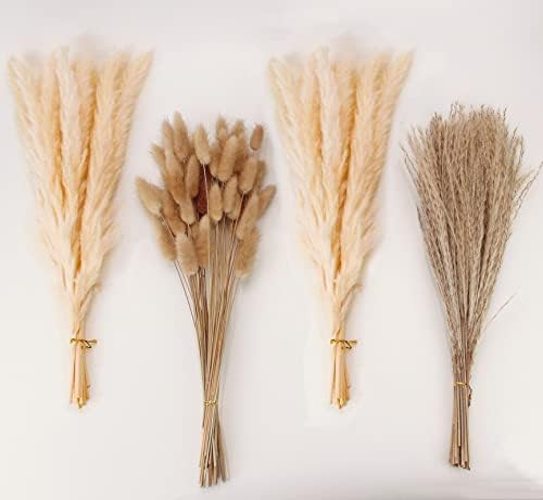 Natural Dried Pampas Grass Decor, Beige Pampas Grass, Bunny Tails Dried Flowers, Reed Grass Bouquet for Wedding Boho Flowers Home Table Decor, Rustic Farmhouse Party (100 in Total ) by ANPROOR