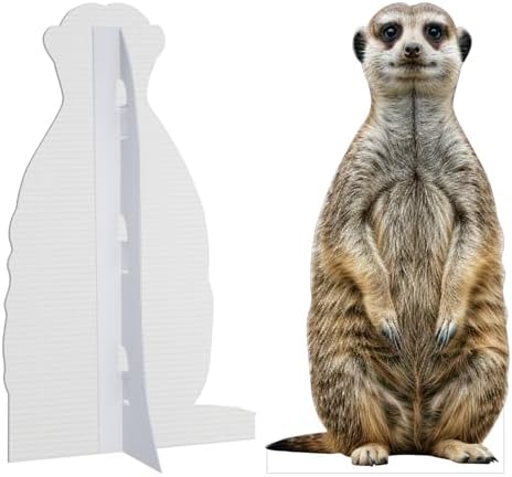 Meerkat1 2FT Life Size Cardboard Cutout, Animal Standup, 1 PC - Image 3