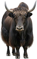 Yak 3FT Life Size Cardboard Cutout, 1 PC by Unknown