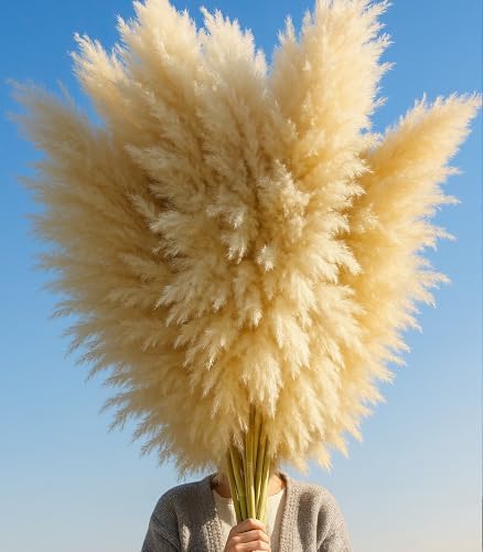 10 PCS 40" Tall Pampas Grass Stems in Natural Beige, Add a Boho Touch to Your Space—Pompas Grass Ideal for Floral Arrangements, Floor Vases, Weddings, and Creating a Bohemian Ambiance at Home. - Image 3