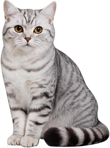 British Shorthair Silver Point 5FT Cardboard Cutout, 1PC by DP+BOUTIQUE