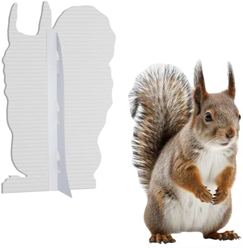 Squirrel 4FT Life Size Cardboard Cutout, Standup, 1 PC - Image 3