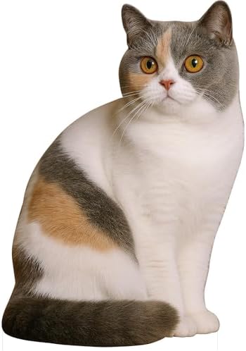 Calico Cat 2FT Life Size Cardboard Cutout Standup, 1 PC by DP+BOUTIQUE