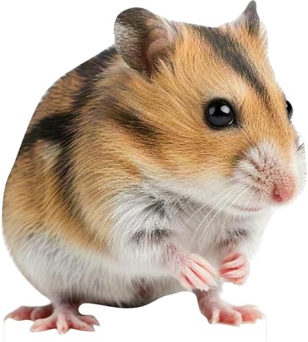 Hamster 2FT Life Size Cardboard Cutout, 1 PC by DP+BOUTIQUE