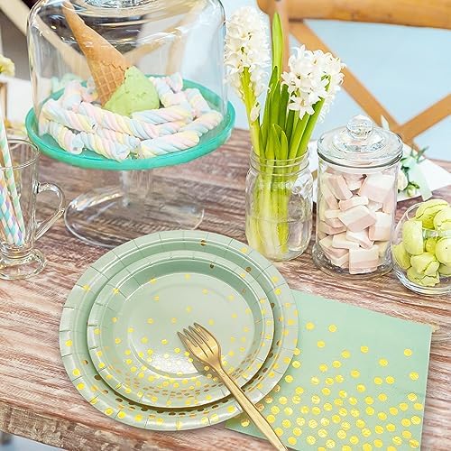 Sage Green Plates and Napkins Party Supplies - Image 5