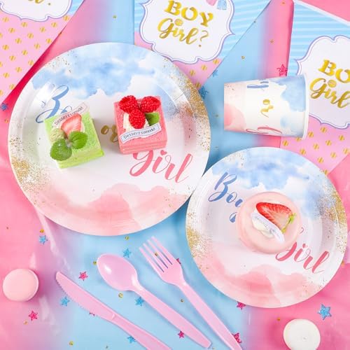 Gender Reveal Party Supplies Set, 175 Pcs, Serves 25, Pink Blue - Image 5