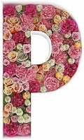 2FT DIY Mosaic Balloon Letter P Frame, Fillable Party Backdrop Decor by JW+Passion+-+Premium+Quality%2C+Made+With+Passion