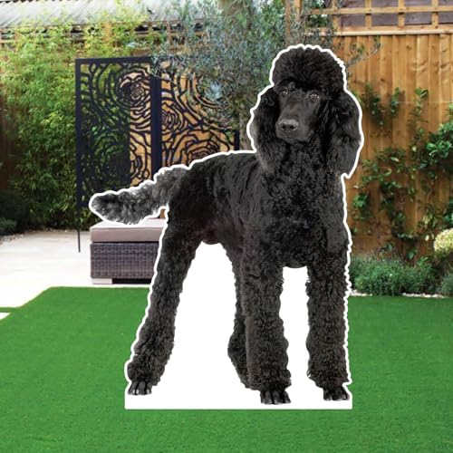 Poodle 5FT Life Size Cardboard Cutout, 1 PC - Image 4