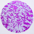 Snowkingdom 50 Pcs Purple Placemats Round Disposable Glitter Charger 13" by Snowkingdom