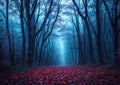 7 x 5 ft Halloween Haunted Misty Forest Backdrop, Horror Creepy Dark Pathway Photograph Background, Spooky Foggy Woods for Halloween Witch Party Photo Backdrop Booth Decorations by Etsyoki