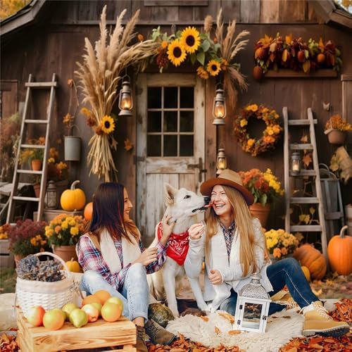 10x10ft Fall Photo Backdrop Rustic Wooden Barn Door Pumpkin Harvest Backdrop Country Fall Festival Backdrops for Photoshoot Thanksgiving Decorations Photographic Studio Photo Backgrounds - Image 5