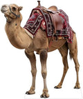 Christmas Nativity Camel 3FT Life Size Cardboard Cutout, 1 PC by 111PRINT