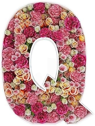 2FT DIY Mosaic Balloon Letter Q Frame, Fillable Party Backdrop Decor by JW+Passion+-+Premium+Quality%2C+Made+With+Passion