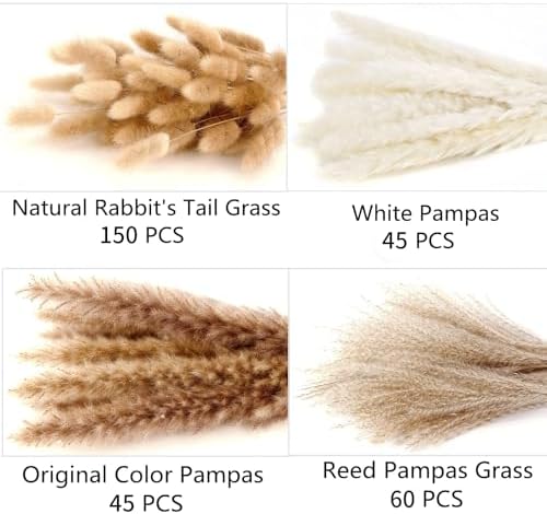 300 PCS Dried Flower Bouquet – Pampas Grass, Floral Decor for Home, Wedding, and Boho Style | Perfect for Vases, Fall, Spring, Summer, and Winter Arrangements - Image 2