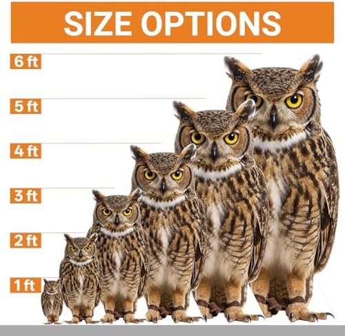 Owl Life Size Cardboard Cutout, 4FT for Events & Party Decor - Image 2